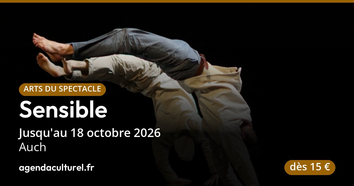 Spectacle de cirque SEUIL à Auch, 16 au 18 oct. 2026