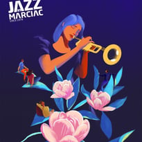 Festival Jazz In Marciac