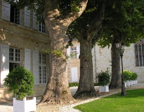 Jardin des Marronniers
