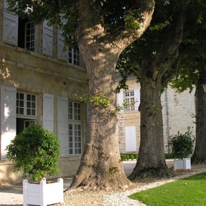 Jardin des Marronniers