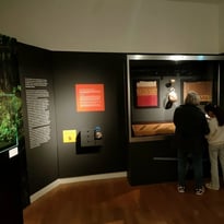 Exposition "Pérou précolombien, un autre regard sur le monde"