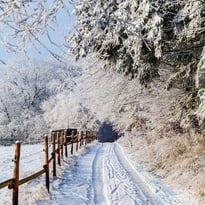 Le barde de Gascogne fête le solstice d'hiver
