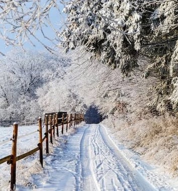 Le barde de Gascogne fête le solstice d'hiver