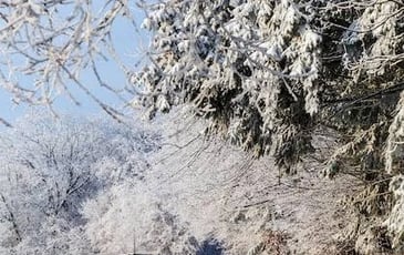 Le barde de Gascogne fête le solstice d'hiver