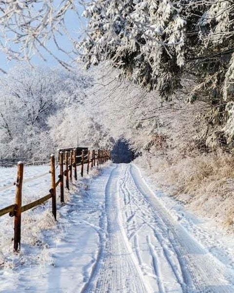 Le barde de Gascogne fête le solstice d'hiver