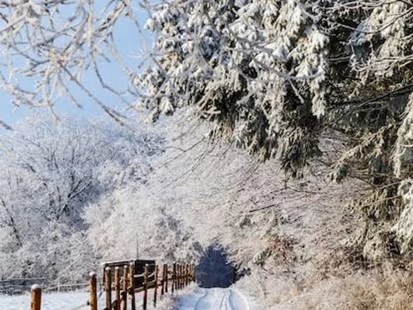 Le barde de Gascogne fête le solstice d'hiver