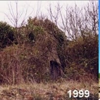 Visite commentée : de la ruine à l'écrin