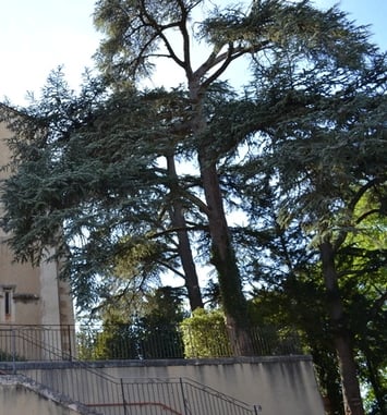 Visite commentée : partez à la découverte du patrimoine de Castelnau-Barbarens