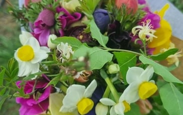 Atelier-Dégustation : fleurs en bouche