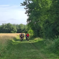 Visite guidée à vélo sur l'ancien sentier de halage le long de la Baïse