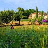 Visite libre de l'abbaye, des jardins et des expositions