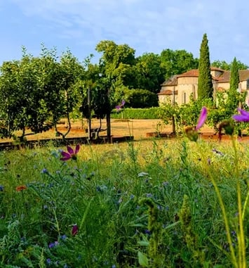 Visite libre de l'abbaye, des jardins et des expositions