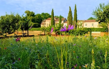 Visite libre de l'abbaye, des jardins et des expositions