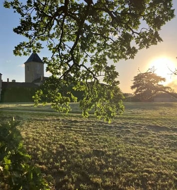 Visite des extérieurs du château de Magnas