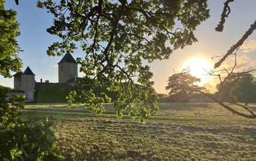 Visite des extérieurs du château de Magnas