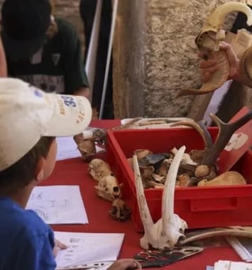 Patrimoine vivant : ateliers histoire, biodiversité et artisanat