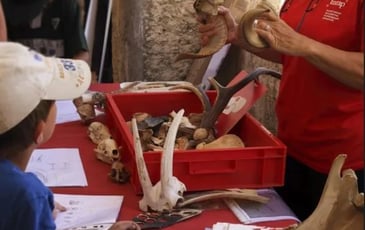 Patrimoine vivant : ateliers histoire, biodiversité et artisanat